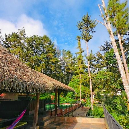 סרו אסול La Semilla Ecolodge מראה חיצוני תמונה