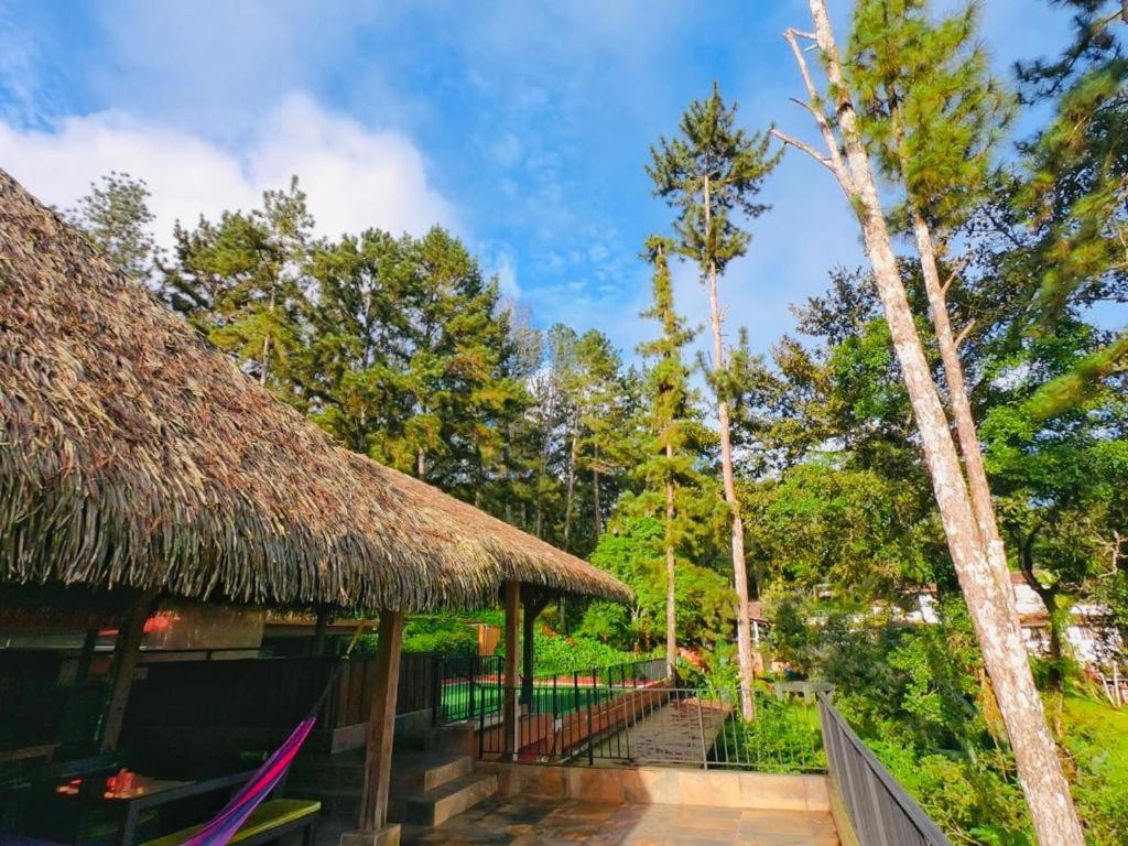 סרו אסול La Semilla Ecolodge מראה חיצוני תמונה