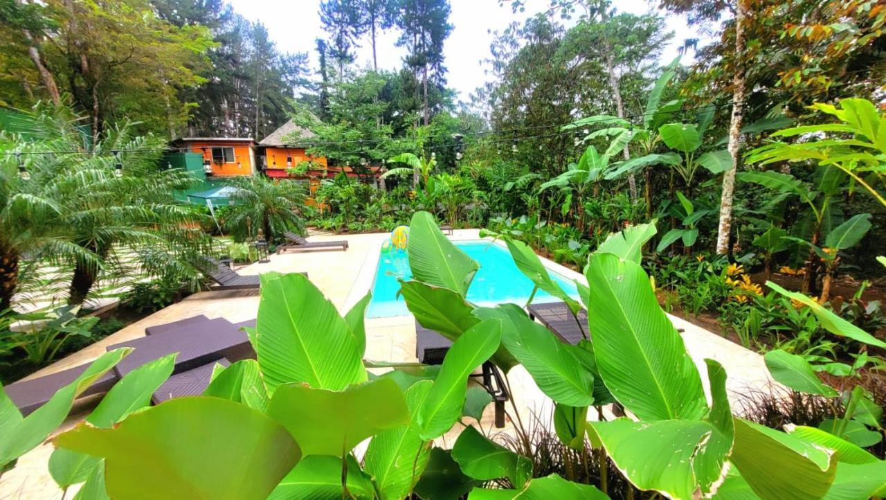 סרו אסול La Semilla Ecolodge מראה חיצוני תמונה