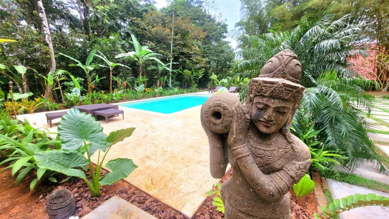 סרו אסול La Semilla Ecolodge מראה חיצוני תמונה