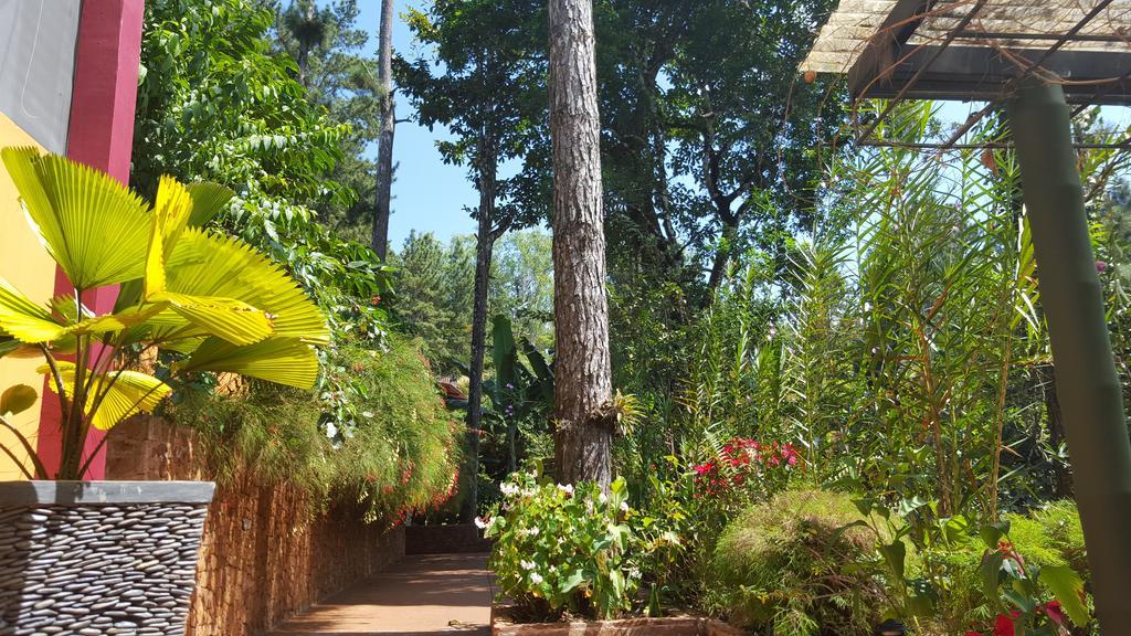 סרו אסול La Semilla Ecolodge מראה חיצוני תמונה