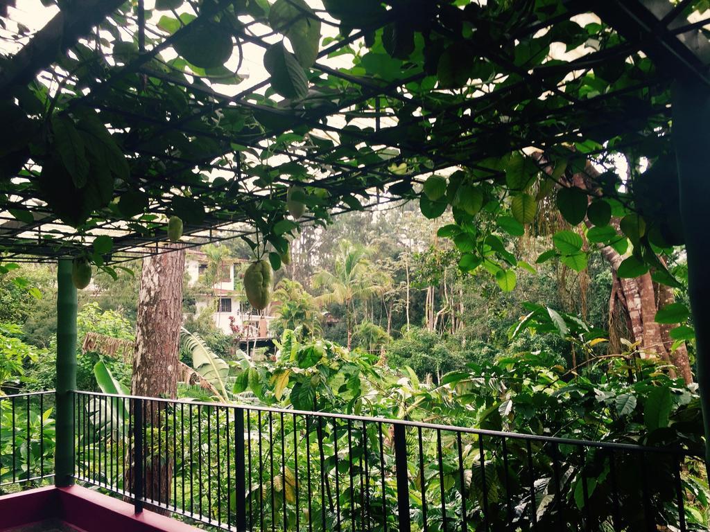 סרו אסול La Semilla Ecolodge מראה חיצוני תמונה