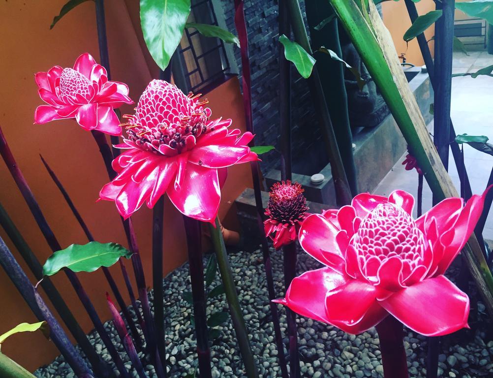 סרו אסול La Semilla Ecolodge מראה חיצוני תמונה